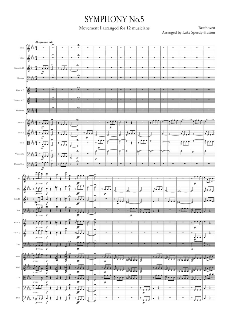 Beethoven - Symphony 5 Mov 1 (reduction for 12 musicians)