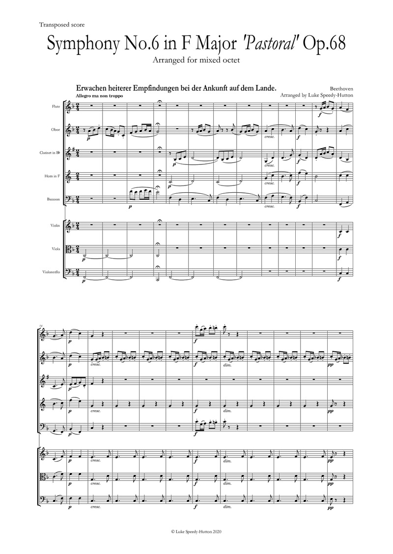 Beethoven - Symphony 6 Mov 1 (reduction for 8 musicians)