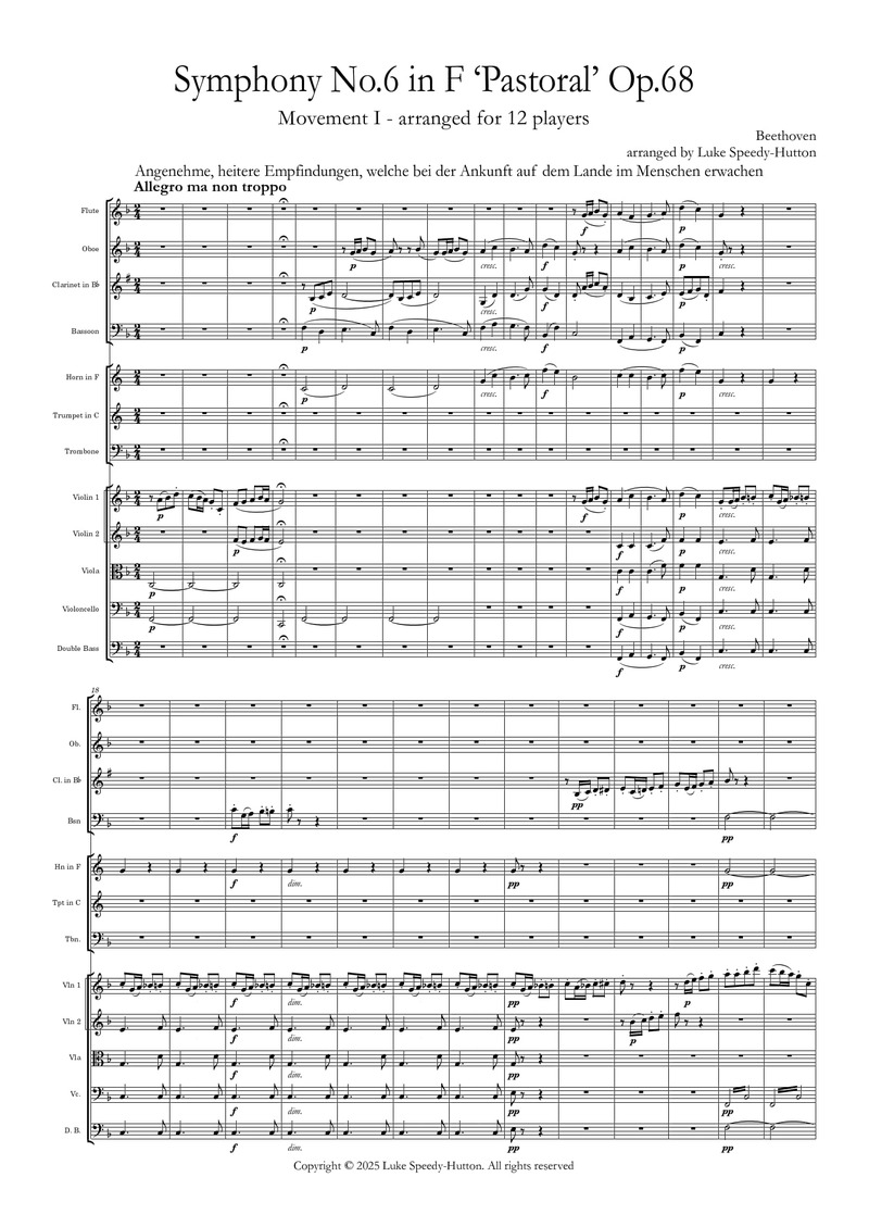 Beethoven - Symphony 6 Mov 1 (reduction for 12 musicians)